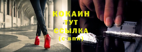 spice Алзамай