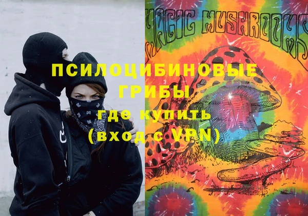 spice Алзамай