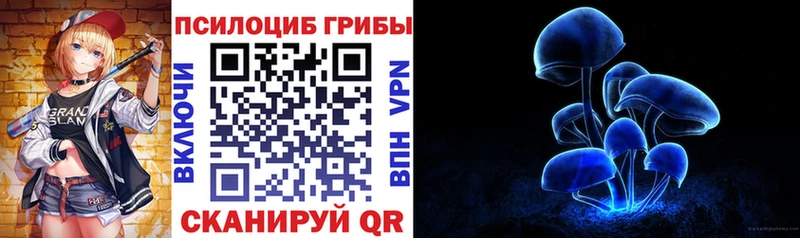 Галлюциногенные грибы ЛСД  дарнет шоп  ОМГ ОМГ зеркало  Бердск 